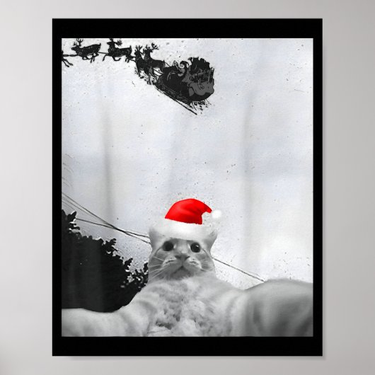 Katten Meme Grappige Kat Selfie Met Kerstman Hoed Poster (Voorkant)