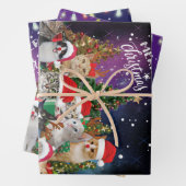 Katten Merry Kerstlight Inpakpapier Vel (In situ)