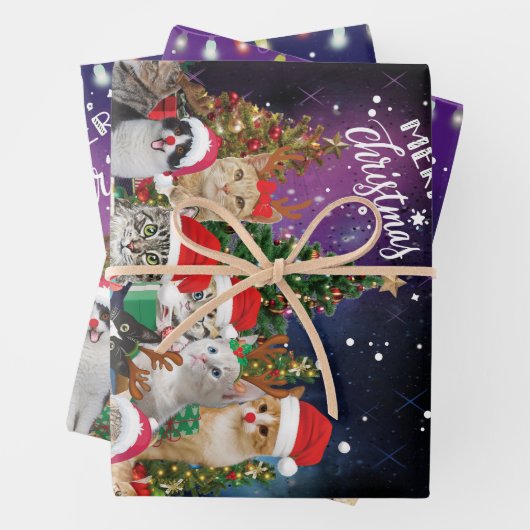 Katten Merry Kerstlight Inpakpapier Vel (In situ)