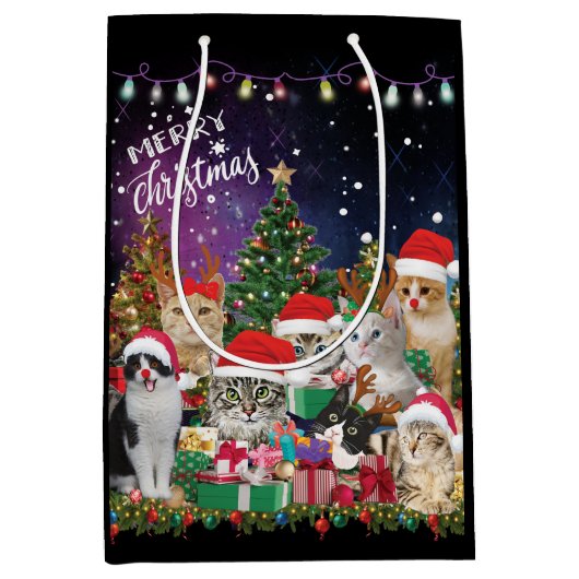 Katten Merry Kerstlight Medium Cadeauzakje (Voorkant)