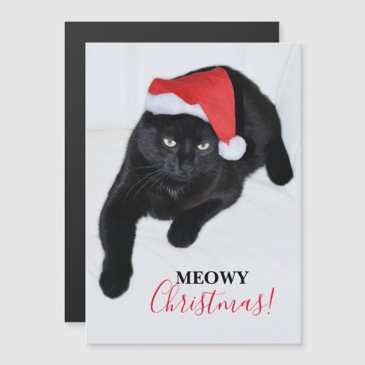 Katten met de Rode Kerstman Hoed (Voorkant / Achterkant)