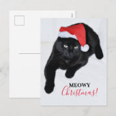 Katten met de Rode Kerstman Hoed Feestdagenkaart (Voorkant / Achterkant)