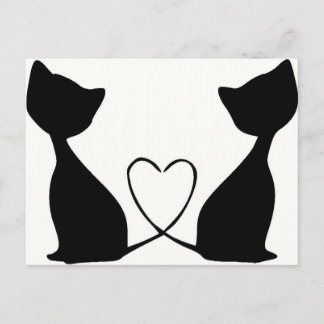 Katten met hart, zwart en wit briefkaart