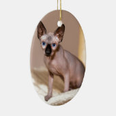 Katten met jonge kleurpunthynx in hammock.JPG Keramisch Ornament (Rechts)