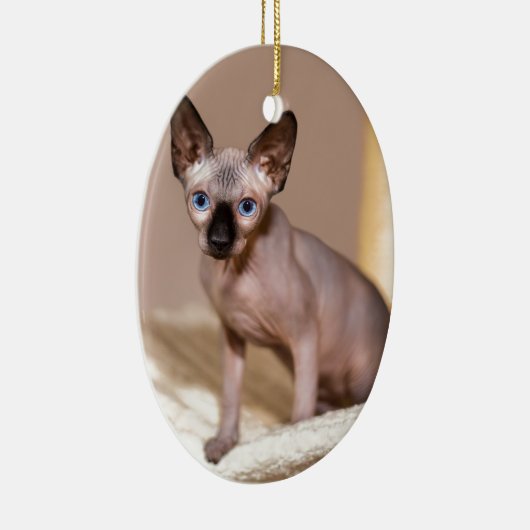 Katten met jonge kleurpunthynx in hammock.JPG Keramisch Ornament (Rechts)