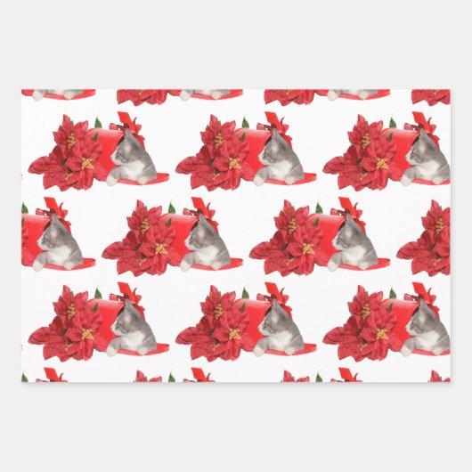 Katten met kerstpostbus inpakpapier vel (Voorkant 3)