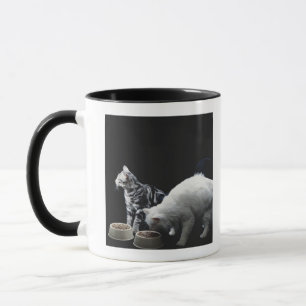 Katten met kom van voedsel mok