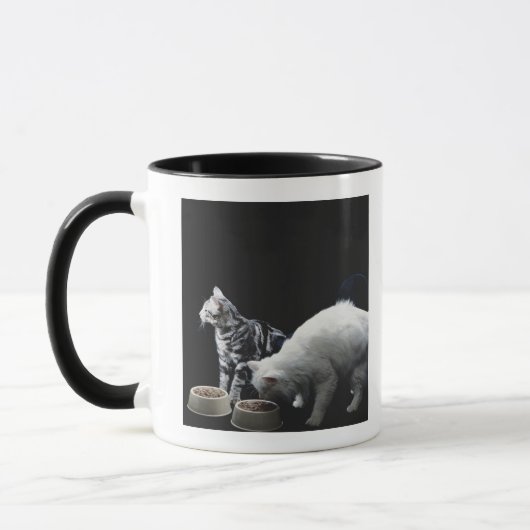 Katten met kom van voedsel mok (Links)