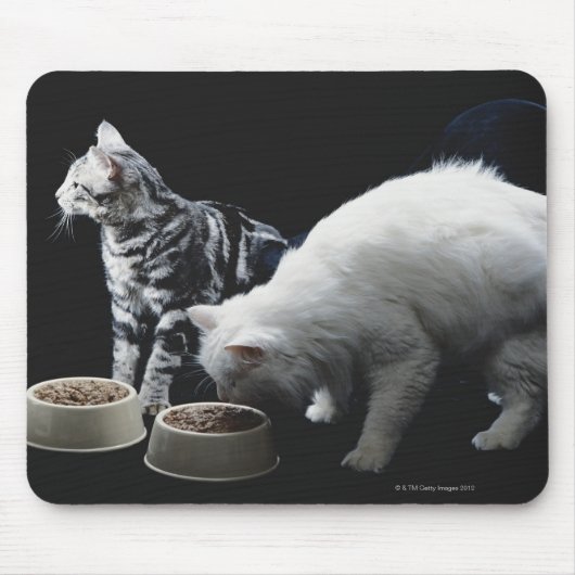 Katten met kom van voedsel muismat (Voorkant)