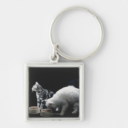 Katten met kom van voedsel sleutelhanger (Voorkant)
