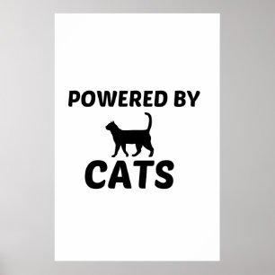KATTEN MET KRACHT POSTER