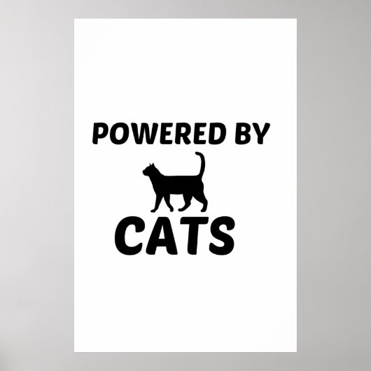 KATTEN MET KRACHT POSTER (Voorkant)