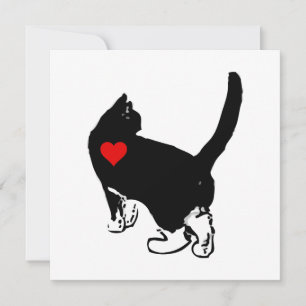 Katten met liefde