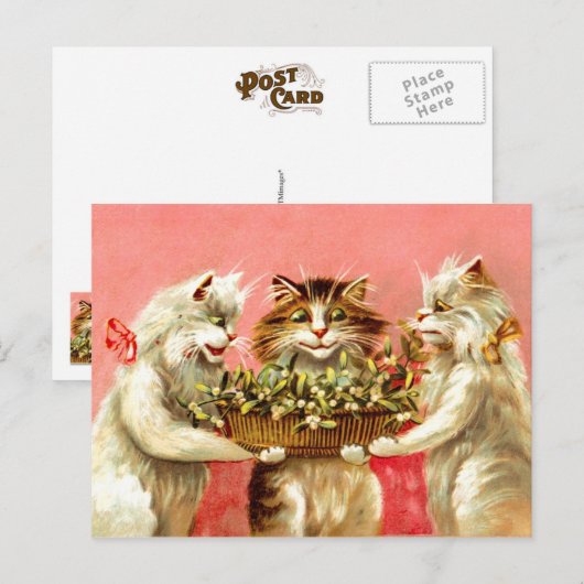 Katten met Mistletoe Briefkaart (Voorkant / Achterkant)