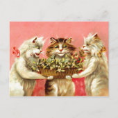 Katten met Mistletoe Briefkaart (Voorkant)