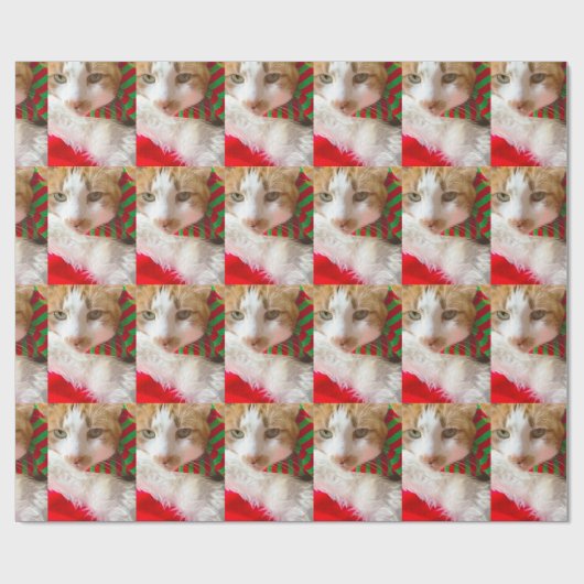 Katten met muffler en Santa hat Cadeaupapier (Vlak)