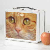 Katten met oranje vacht (In situ)