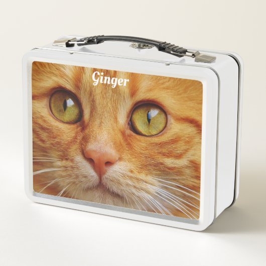 Katten met oranje vacht (Achterkant)