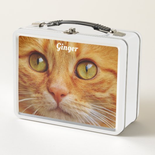 Katten met oranje vacht (Voorkant)