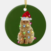 Katten met Pet lichte kerstmis Keramisch Ornament (Voorkant)