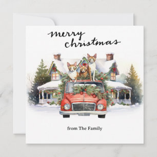 Katten met  rode truck voor dierenliefhebbers feestdagenkaart