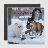 Katten met Sneeuwbollen Aangepaste Magnetische Kaa (Voorkant / Achterkant)