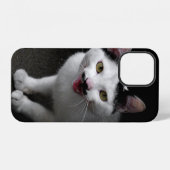 Katten met snor iPhone hoesje (Achterkant horizontaal)
