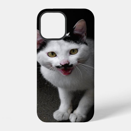 Katten met snor iPhone hoesje (Achterkant)