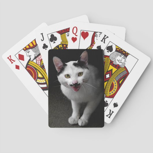 Katten met snor pokerkaarten (Achterkant)