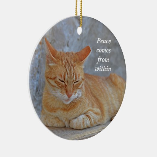 Katten met tabby die rusten in het Inspirerend van Keramisch Ornament (Rechts)