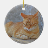 Katten met tabby die rusten in het Inspirerend van Keramisch Ornament (Achterkant)