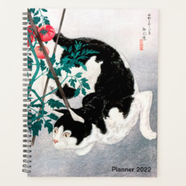 Katten met tomatenPlant van Takahashi, Japanse kun Planner