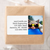 Katten met zonnebrillen die ontspannen zijn op luc etiket (Insitu)