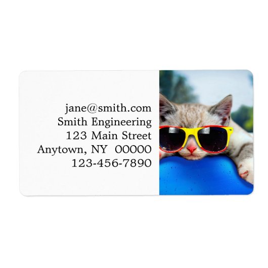 Katten met zonnebrillen die ontspannen zijn op luc etiket (Voorkant)