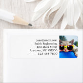 Katten met zonnebrillen die ontspannen zijn op luc etiket (Insitu)