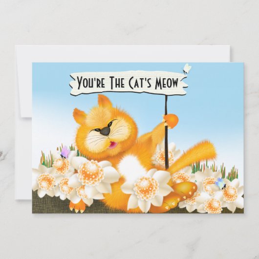 Katten Miauw Grappige Verjaardag (Voorkant)