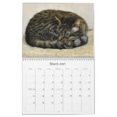 Katten Mooie Pet Portretten Kalender (Mar 2027)