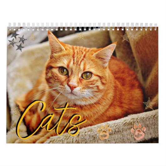 Katten Mooie Pet Portretten Kalender (Hoes)