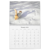 Katten Mooie Pet Portretten Kalender (Jan 2026)