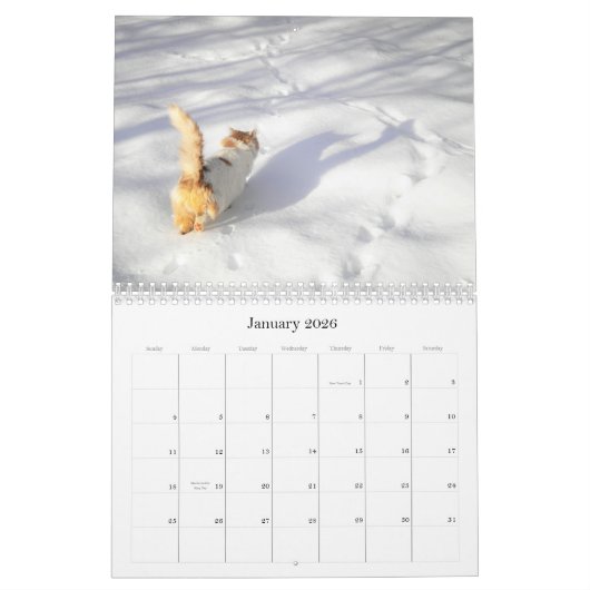 Katten Mooie Pet Portretten Kalender (Jan 2026)