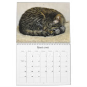 Katten Mooie Pet Portretten Kalender (Mar 2026)