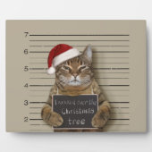 Katten Mugshot Kerstmis Fotoplaat (Voorkant)