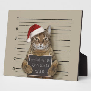 Katten Mugshot Kerstmis Fotoplaat