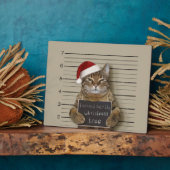 Katten Mugshot Kerstmis Fotoplaat (Zijkant)