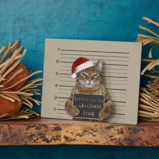Katten Mugshot Kerstmis Fotoplaat (Zijkant)