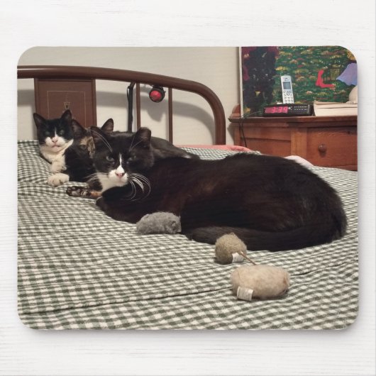 Katten Muismat (Voorkant)