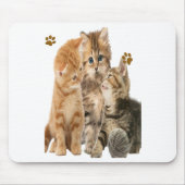 Katten Muismat (Voorkant)