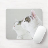 Katten Muismat (Met muis)
