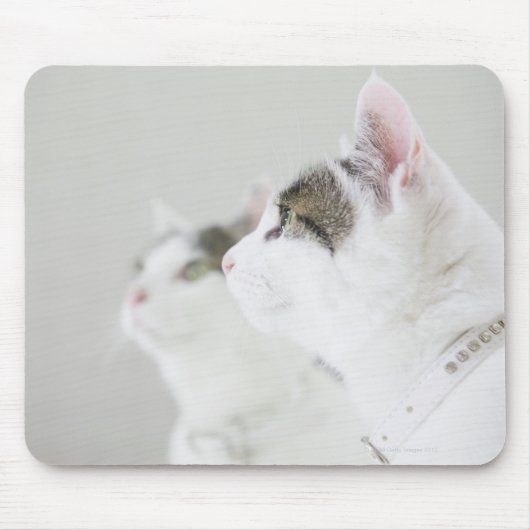 Katten Muismat (Voorkant)
