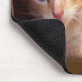 Katten Muismat (Hoek)